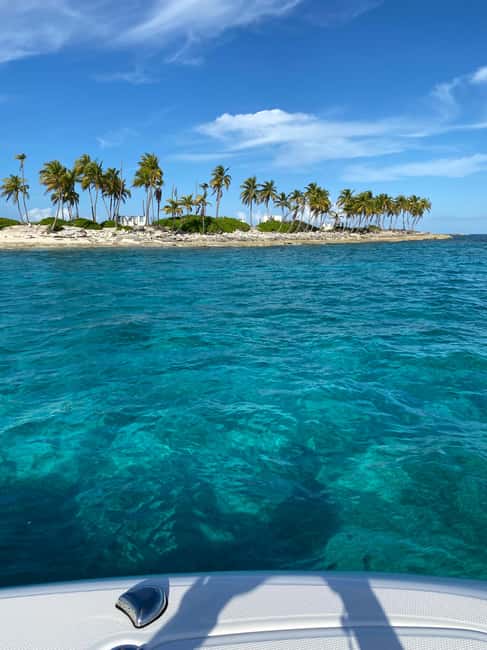 Rose Island: Pig Beach, Snorkeling, Sea Turtles, Beach - Green Cay Sea Turtle Spotting, How to Make This Stop Count