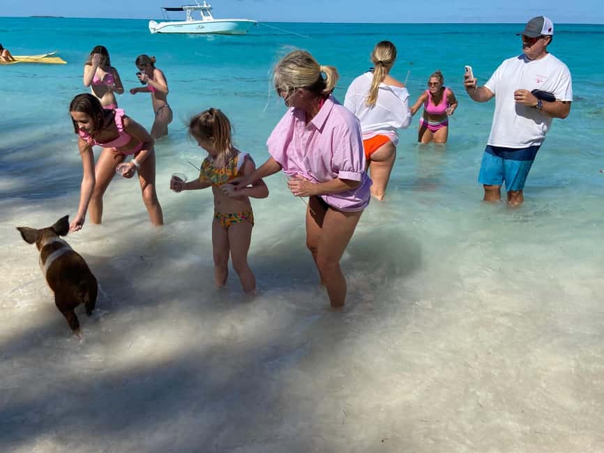 Rose Island: Pig Beach, Snorkeling, Sea Turtles, Beach - Snorkeling the Coral Reef, Fish, Float Time, and Safety Basics