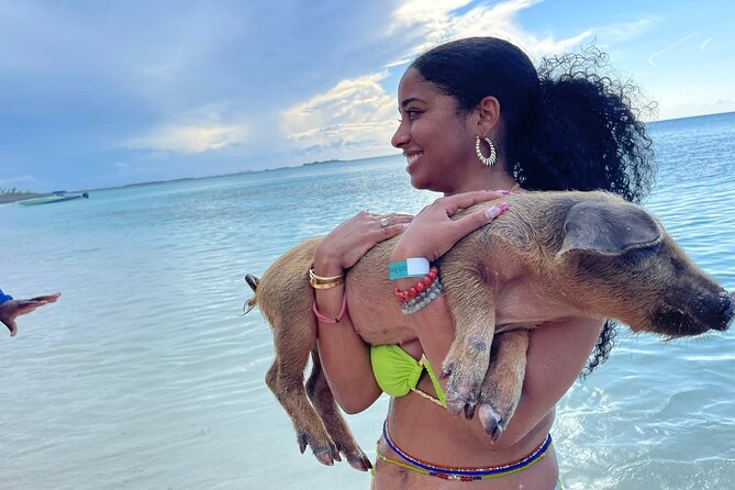 Rose Island Private Beach: Swimming with the Pigs - Key Highlights You’ll Care About