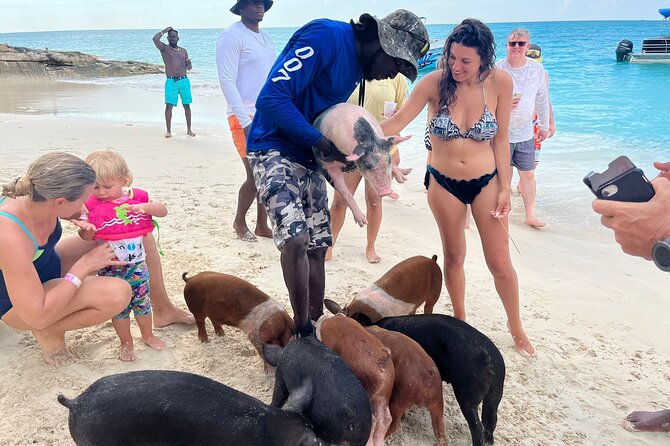 Rose Island Private Beach: Swimming with the Pigs - Rose Island Reef Snorkeling: What You Get, What to Expect