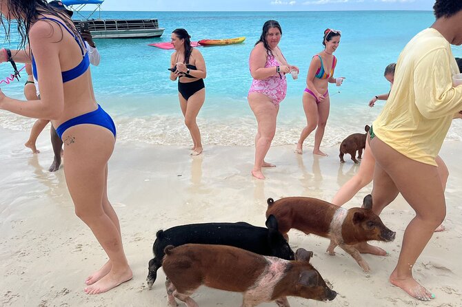 Rose Island Private Beach: Swimming with the Pigs - The Far East Side of Rose Island: 007 Beach Club Privacy That Matters