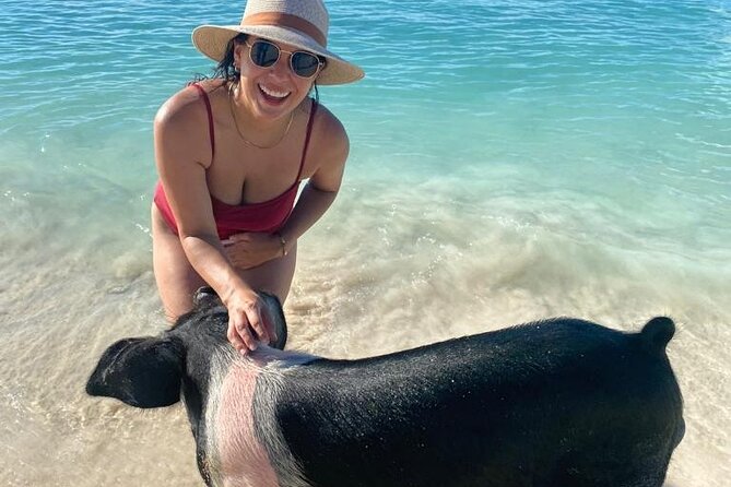 Rose Island Private Beach: Swimming with the Pigs - Timing, Group Size, and the Realities of a Small Boat Day