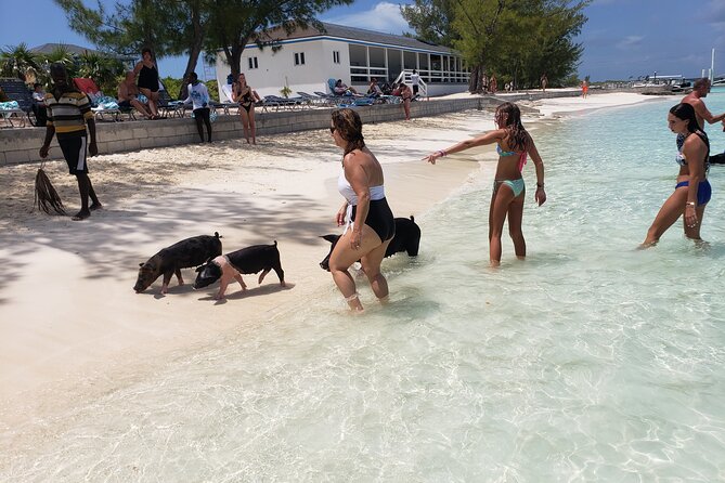 Rose Island: Private Snorkeling, Fishing, and Swimming with Pigs - Key Things That Make This Tour Worth Your Time