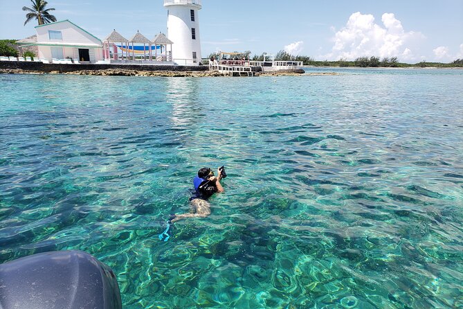 Rose Island: Private Snorkeling, Fishing, and Swimming with Pigs - Rose Island White Sand Time, Lunch Choices, and the Pig Swim Reality Check