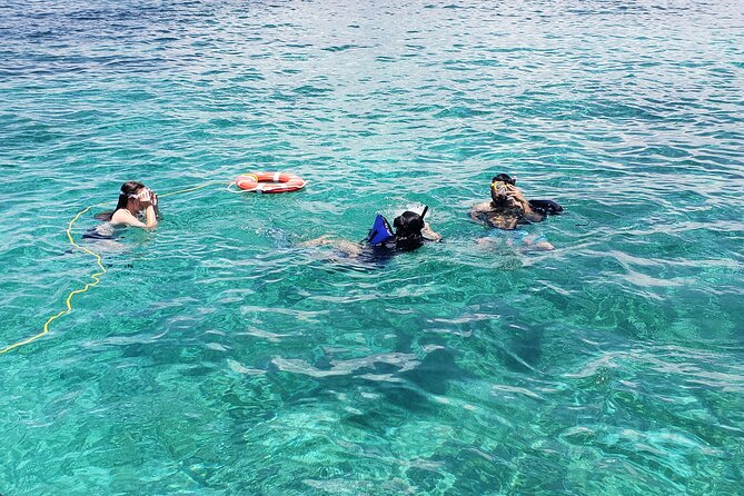 Rose Island: Private Snorkeling, Fishing, and Swimming with Pigs - Fishing Around Rose Island and Paradise Island, Gear Included