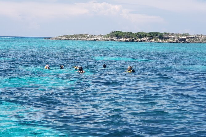 Rose Island: Private Snorkeling, Fishing, and Swimming with Pigs - What the Boat, Timing, and Private Group Size Mean for You