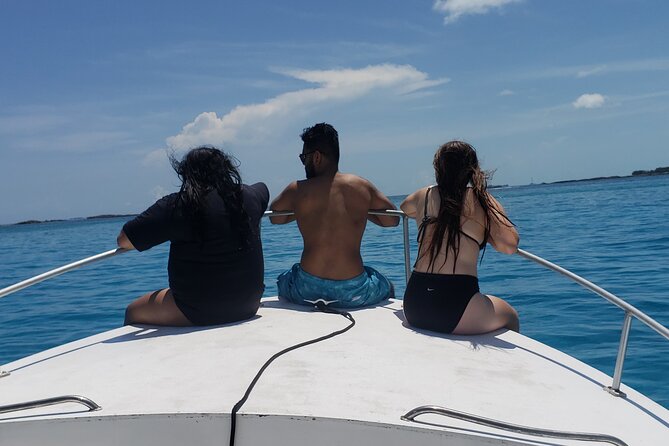 Rose Island: Private Snorkeling, Fishing, and Swimming with Pigs - Price and Value: How the $850 Fits Up to 8 People
