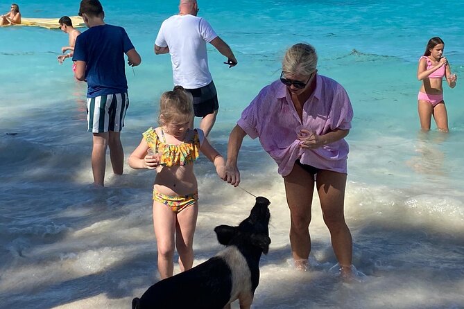 Rose Island Swimming Pigs - Rose Island Swimming Pigs: Lunch, Beach Time, and Clear-Water Fun