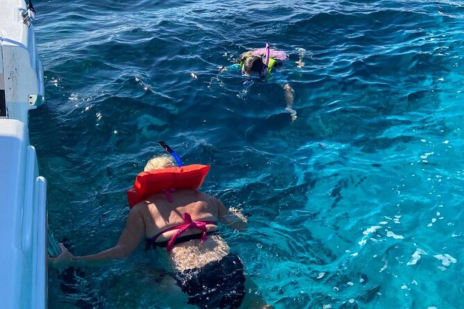 Rose Island Swimming Pigs - What You’re Actually Paying For: Value of $259, Not Just the Price Tag
