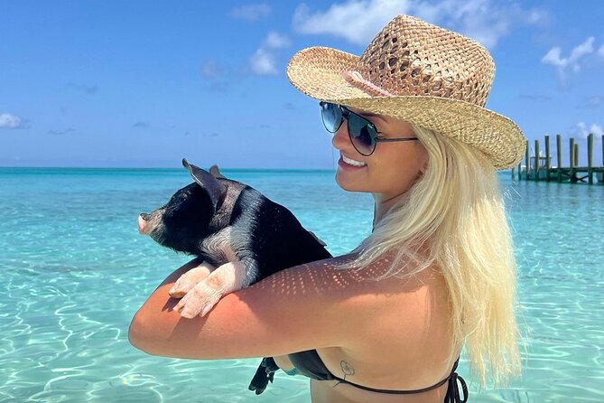 Rose Island Swimming Pigs & Beach Snorkeling Experience Nassau - Key Things to Know Before You Go