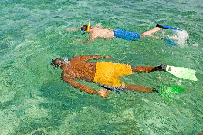 Rose Island Swimming Pigs & Beach Snorkeling Experience Nassau - Beach Snorkeling Off Rose Island: What You’ll See