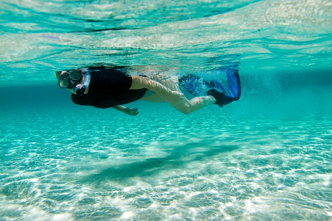 Rose Island Swimming Pigs & Beach Snorkeling Experience Nassau - Time on Rose Island: A 3.5 Hour Nassau Getaway