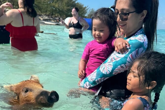 Rose Island Swimming Pigs & Beach Snorkeling Experience Nassau - Price and Inclusions: Is $79 Worth It?