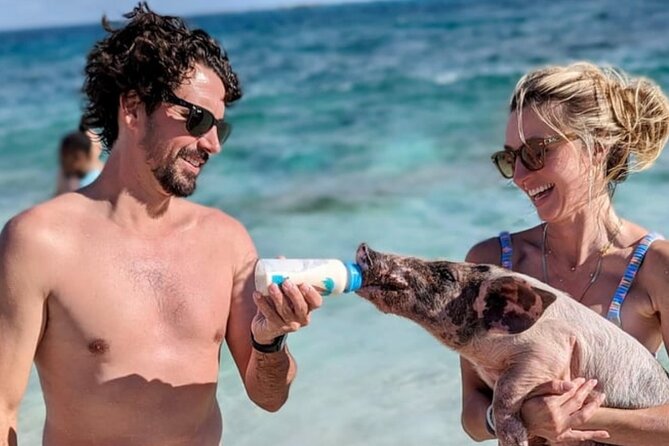 Rose Island Swimming Pigs & Beach Snorkeling Experience Nassau - Who This Rose Island Tour Fits Best
