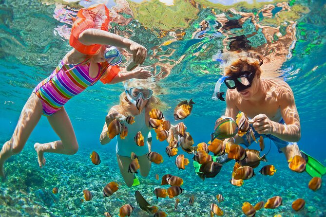 Rose Island Swimming Pigs & Beach Snorkeling Experience Nassau - FAQ