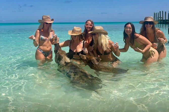 Rose Island Swimming Pigs & Beach Snorkeling Experience Nassau - Meet the Swimming Pigs on Rose Island