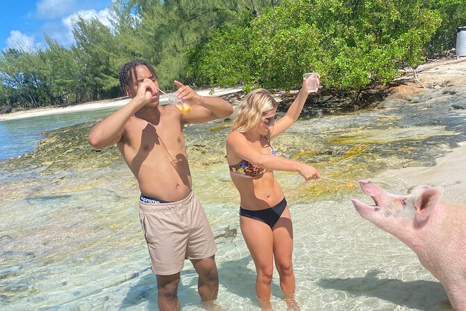Self Drive Speedboat and Swim with the Pigs - Snorkel time on a speedboat day: what matters most