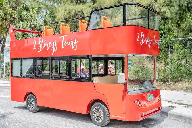 Shared Sightseeing Tour in Bahamas - Group size, timing, and cruise-day practicality