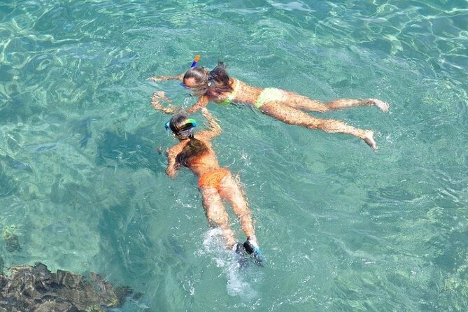 Small-Group Snorkeling Experience at Sea Garden - Nassau Harbor to Sea Garden reef: what makes this snorkel special