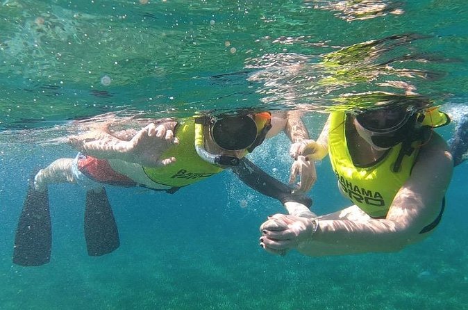Small-Group Snorkeling Experience at Sea Garden - Value check: is $128.21 per person worth it?