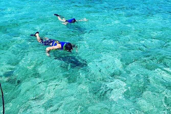 Small-Group Snorkeling Experience at Sea Garden - Meeting at Blue Finn Charters, then heading into Nassau Harbor