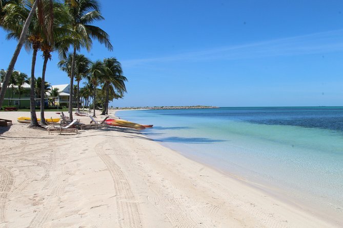Snorkel/Swim with the Turtles Experience - Conch Fritters, Port Lucaya Marketplace, and Finding the Stuff You’d Skip