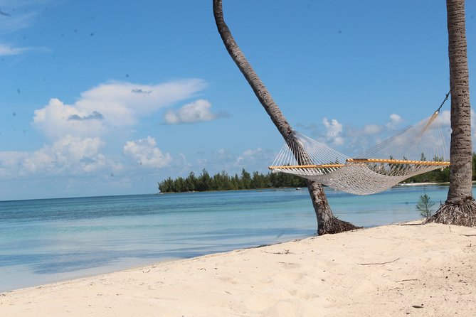 Snorkel/Swim with the Turtles Experience - Snorkeling Gear, Masks, and What You Can Expect Underwater
