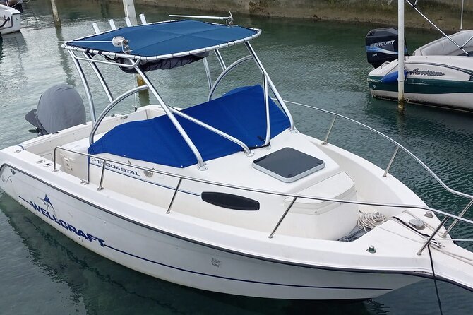Snorkeling, Swim with Turtles & Beach Day - Key takeaways before you sail