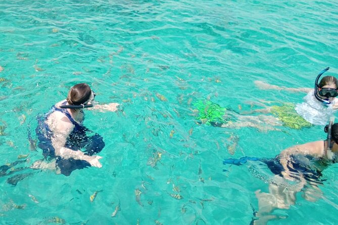 Snorkeling, Swim with Turtles & Beach Day - Beach Time on Nassau’s Coast: Where You Actually Recharge