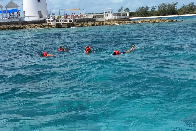 Snorkeling, Swim with Turtles & Beach Day - Rose Island Optional Add-On: Beaches Plus the Pigs