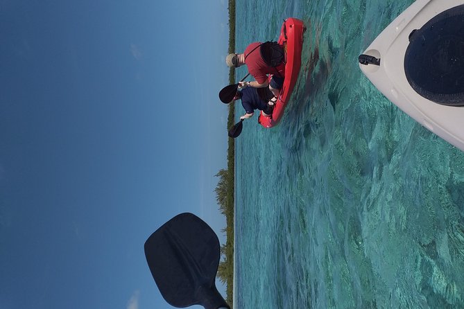 Sweetings Cay Mangrove Kayaking and Turtles - Sweetings Cay is the Bahamas you only get on the east end
