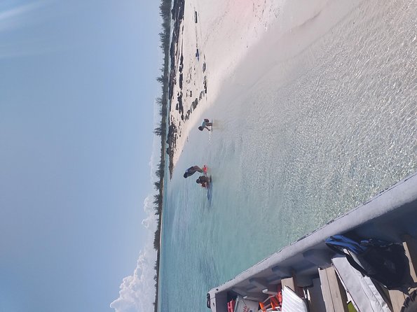 Sweetings Cay Mangrove Kayaking and Turtles - Kayaking the mangrove creeks: what you can expect in 60 minutes