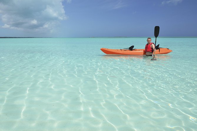 Sweetings Cay Mangrove Kayaking and Turtles - Turtle Park: your second chance at sea turtles in their own space