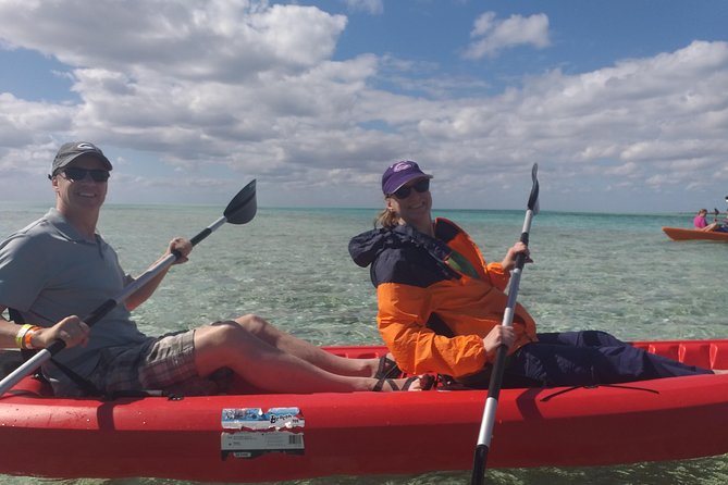 Sweetings Cay Mangrove Kayaking and Turtles - What to pack and how to plan your day in Freeport