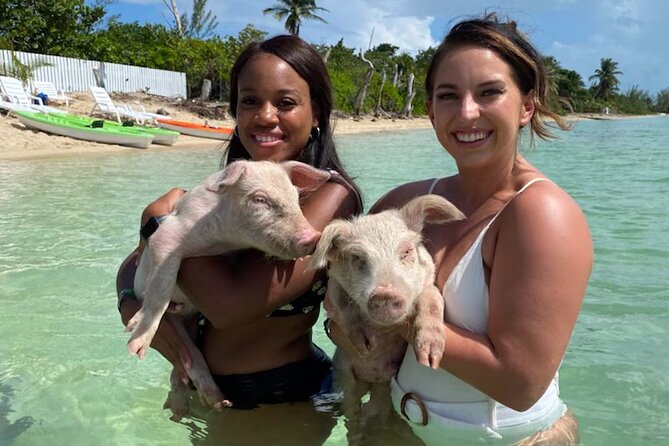 Swim with the Pigs and Explore Caves in Nassau - Nassau in one half-day: pigs, caves, and a beach reset