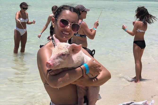 Swim with the Pigs and Explore Caves in Nassau - The operator and group feel: what “50 travelers” means in real life