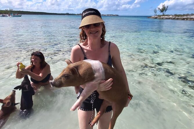 Swim with the Pigs and Explore Caves in Nassau - What can go wrong, and how you protect yourself