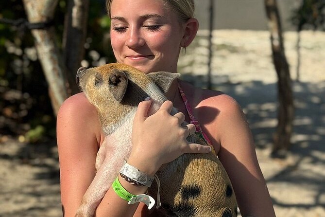 Swim with the Pigs Freeport @Creative Eco Adventures - Photos on a Grand Bahama beach, how to make them actually look good