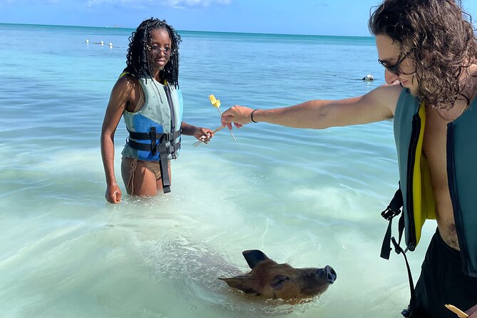 Swim with the Pigs Freeport @Creative Eco Adventures - Price and value: what $71.50 gets you, and what it does not