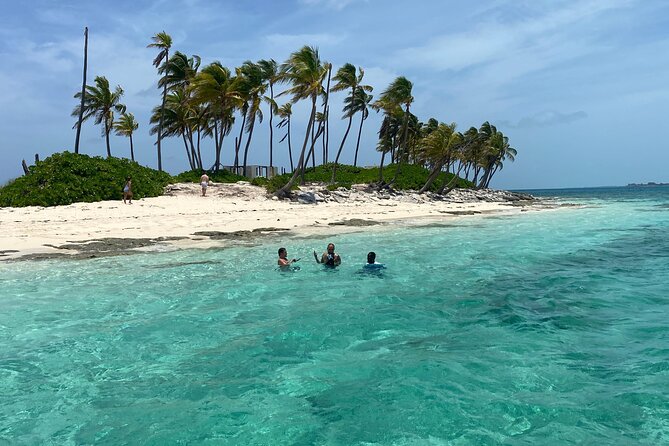 Swim with the Pigs Safari in Bahamas (2hrs) - Price and Value for $175 per Person