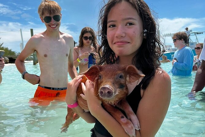 Swim with the Pigs Safari in Bahamas (2hrs) - Who This Tour Fits Best (and Who Might Want Another Plan)
