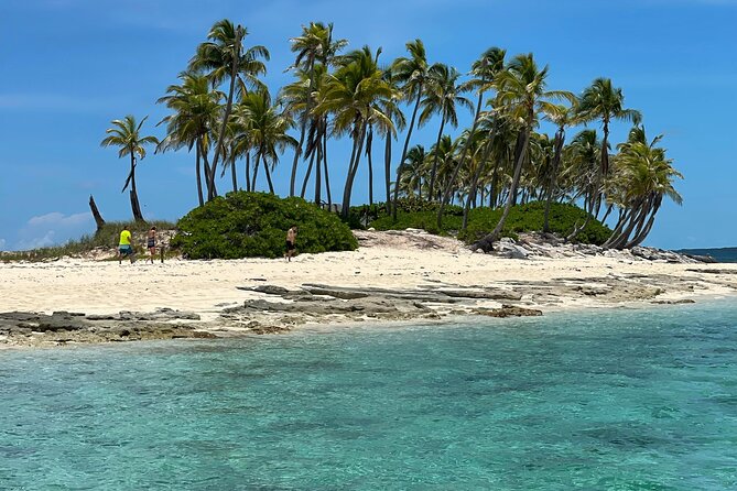 Swim with the Pigs Safari in Bahamas (2hrs) - Atlantis Bahamas Stop, Boat-Only Tunnels and Saltwater Falls