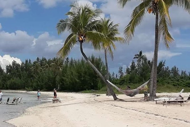 Swim with the Pigs / West End Experience - Hida’s private guiding style, and why it matters more than you think