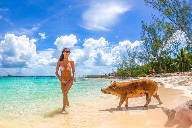 Swimming Pigs and Pearl Island Beach Escape - Who Should Book This Tour, and Who Might Want a Different Option