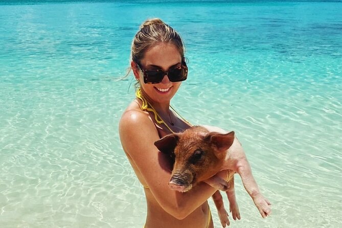 Swimming Pigs and Private Beach Club Escape - Price and Time: Is $149 Good Value for Nassau?