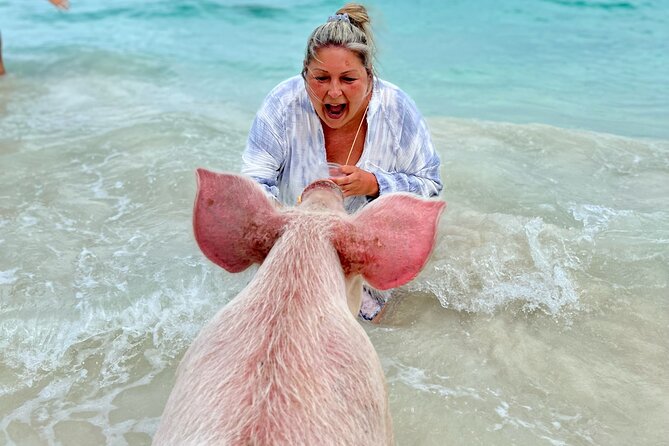 Swimming Pigs and Private Beach Club Escape - Arriving at the Private Beach Club: What “Settle In” Looks Like