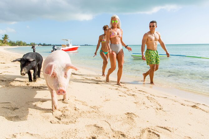 Swimming Pigs & ATV Tour - Stop 1: The Caves of New Providence, bats and pirate tales