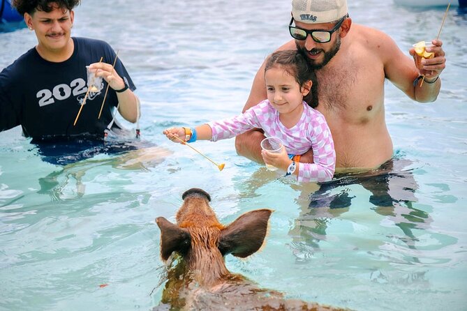 Swimming Pigs Of Rose Island Water Taxi Nassau Bahamas - Key highlights worth planning around