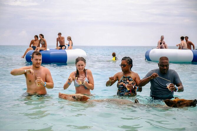 Swimming Pigs Of Rose Island Water Taxi Nassau Bahamas - What happens during the Rose Island time on shore