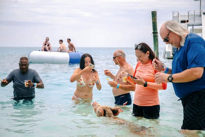 Swimming Pigs Of Rose Island Water Taxi Nassau Bahamas - Value for families, couples, and anyone short on time